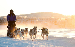 Northern Lights Village 