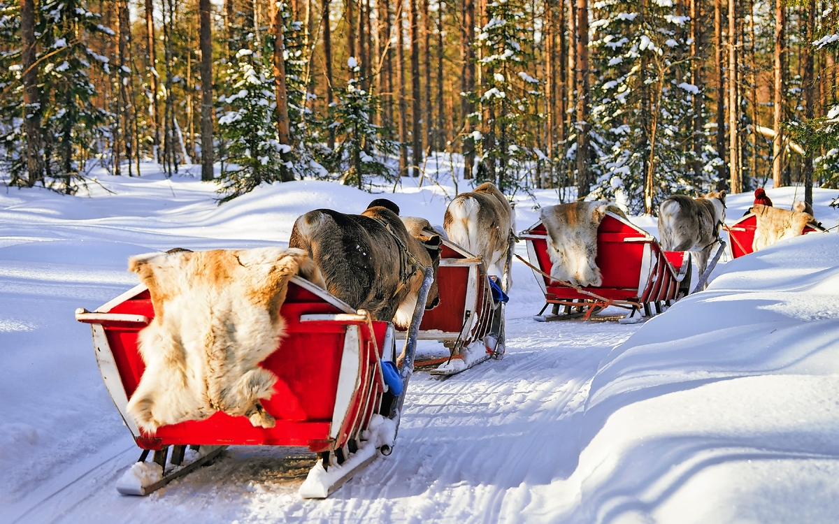 Menschen auf Rentier-Schlitten im Winter Wald in Rovaniemi